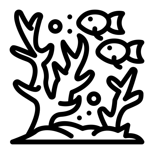 Coral Icon